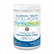 Clinical Collagen Type I & III - 298g